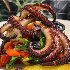 Grilled Octopus